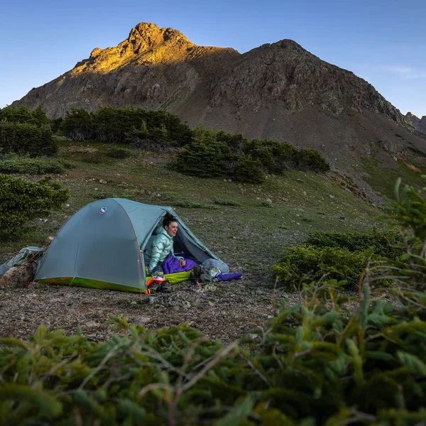 BIG AGNES Tiger Wall UL3 2026 - Image 7
